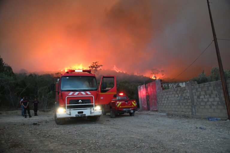 حريق يأتي على مساحة هامة من أشجار “الزقوقو” في برقو