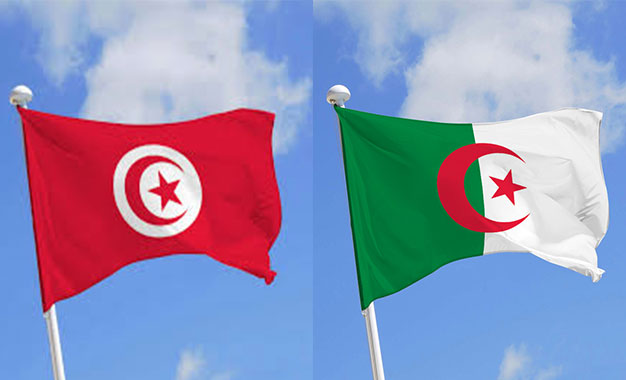 تطوير الاقتصاد والمجتمع…محور اللقاء الرابع التونسي الجزائري للجامعات