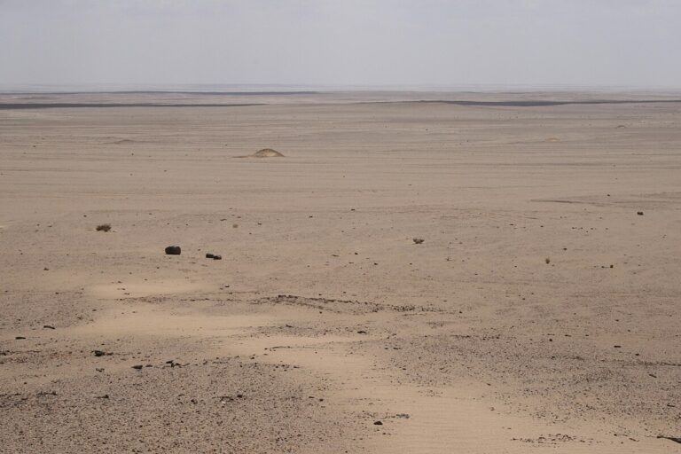 ليبيا: منخفض صحراوي بهذه الجهات والحكومة تتخذ اجراءات عاجلة