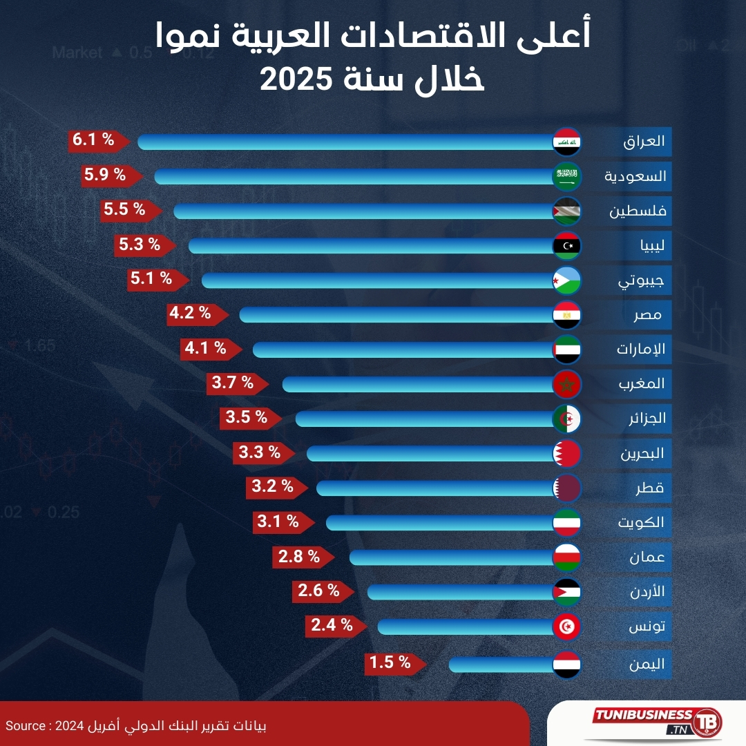 situation économique des pays arabes en 2025