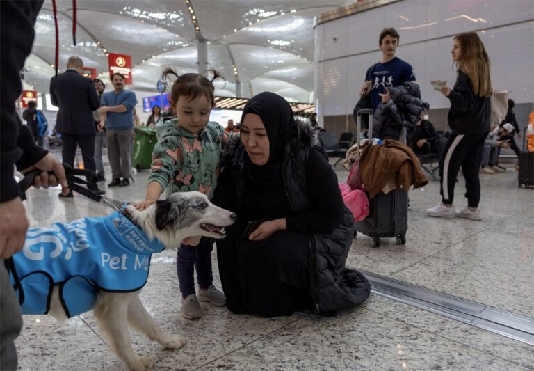 في تجربة غريبة : كلاب تتجول في مطار اسطنبول لمساعدة الركاب