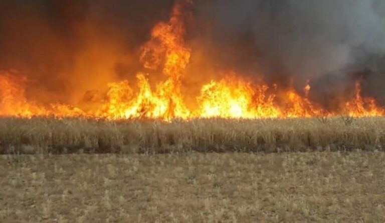 Extinction d'un incendie dans la délégation de Kaafour