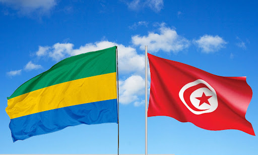 تونس والغابون يسلطان الضوء على التحديات المتعلقة بالهجرة غير النظامية