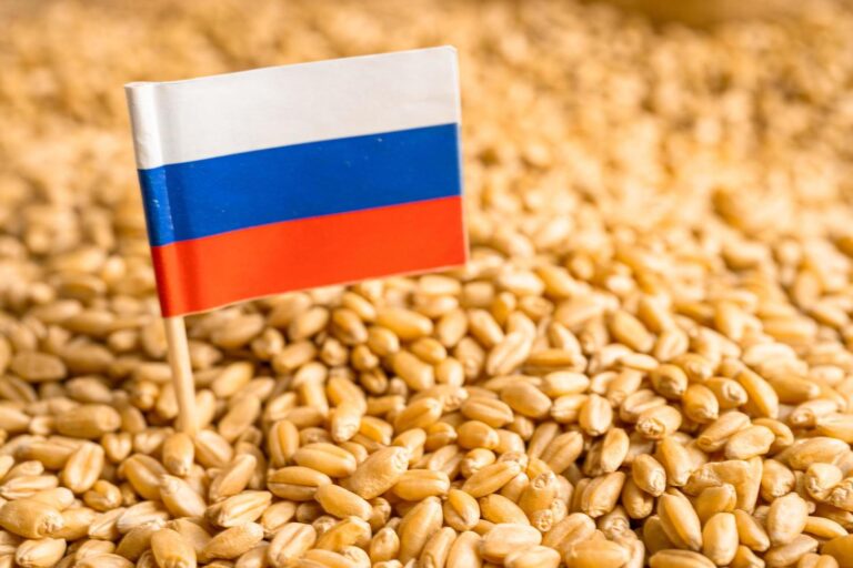 La Russie contrôle les exportations de blé