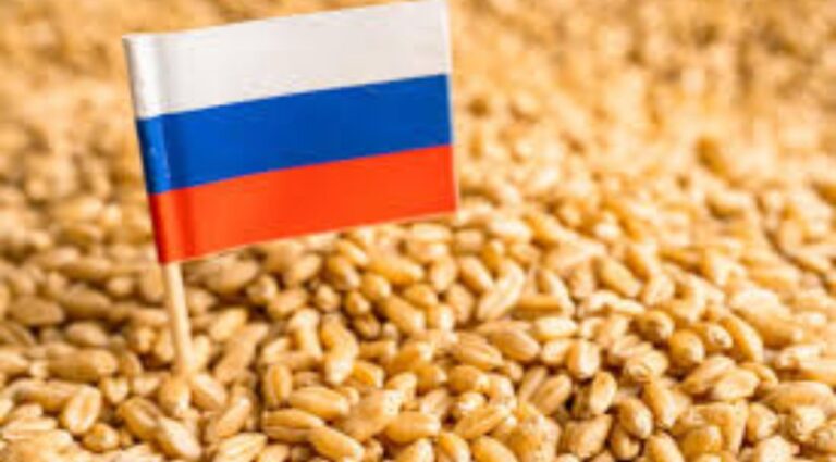 الاتحاد الأوروبي يفرض رسوم جمركية على واردات القمح الروسي