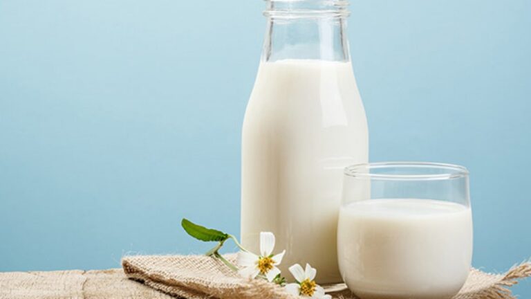 اتحاد الفلاحين: مخزون الحليب المعلّب يقدر بـ 20 مليون لتر ونأمل في زيادته