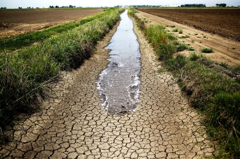 المرزوقي: موجات الجفاف مستمرة وعلى المواطنين الاستعداد لذلك