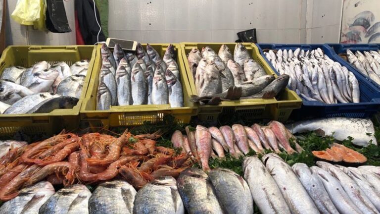 تراجع انتاج صيد السمك الازرق