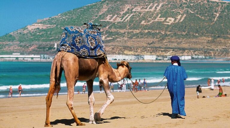 السياحة تُوفر 2.5 مليون فرصة عمل في المغرب