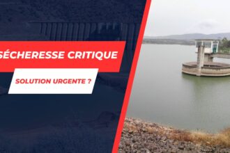 Crise de sécheresse en Tunisie : Barrages du Cap-Bon au seuil critique