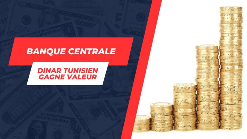 Vitalité économique en Tunisie: record d'avoirs en devise et appréciation du dinar