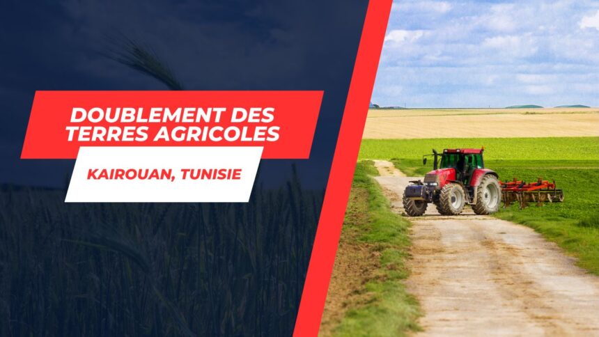 Doublement des terres agricoles à Kairouan Un bond spectaculaire dans les Grande Cultures pour 2023-2024