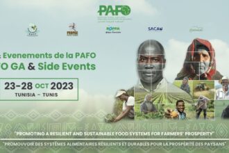 La PAFO Au cœur de la transformation agricole africaine depuis la Tunisie !