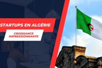 Nombre de Startups créées par pays l'Algérie 2ᵉ en Afrique et dans le top 20 mondial