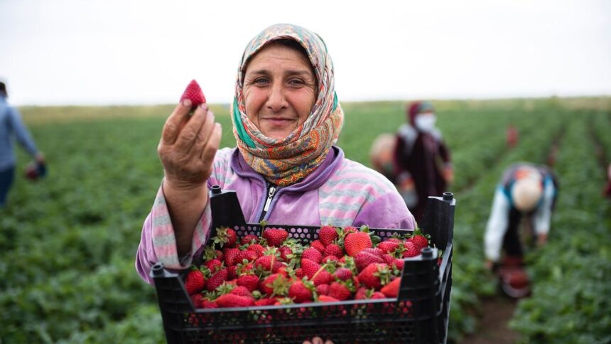 Révolution Économique : Les Femmes Agricultrices Tunisiennes Prêtes à Transformer le Secteur !