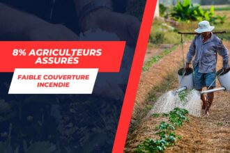 Urgence en Tunisie : Seulement 8% des agriculteurs assurés