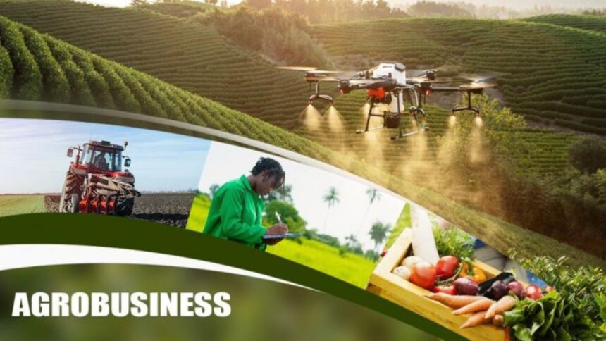 Agrobusiness-Med-Afrique-Expo-2023-La-Revolution-Alimentaire-en-Marche