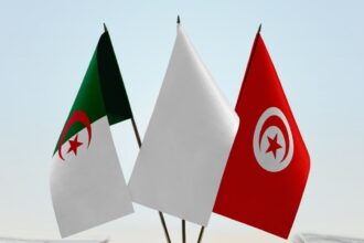 Alliance-Agricole-Maghrebine-Tunisie-et-Algerie-Main-dans-la-Main.