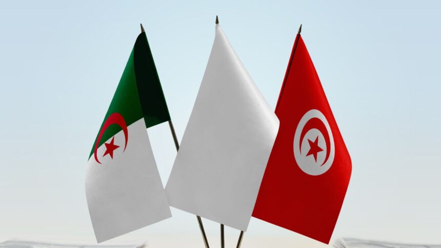 Alliance-Agricole-Maghrebine-Tunisie-et-Algerie-Main-dans-la-Main.