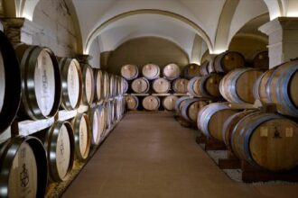 La production mondiale de vin chute de 7 %, au plus bas depuis soixante ans