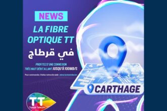 La-Fibre-Optique-de-Tunisie-Telecom-LEssentiel-pour-une-Connexion-Impeccable-a-Carthage.