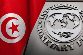 La-Tunisie-au-Coeur-de-la-Reforme-du-Systeme-Financier-International-Une-Opportunite-a-Saisir