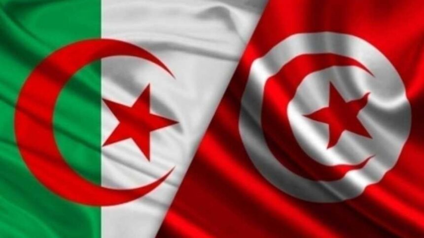 La-Tunisie-et-lAlgerie-sengagent-a-renforcer-leur-cooperation-pharmaceutique