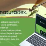 Naturadex-Explorez-la-Biodiversite-Tunisienne-comme-Jamais-Auparavant