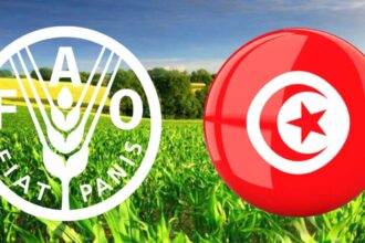 Accord-Historique-Tunisie-FAO-pour-la-Securite-Sociale-Agricole