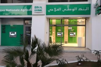 BNA-Bank-Affiche-une-Hausse-de-8-du-Produit-Net-Bancaire-en-2023