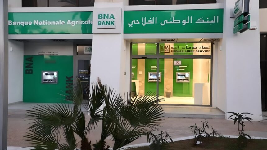 BNA-Bank-Affiche-une-Hausse-de-8-du-Produit-Net-Bancaire-en-2023