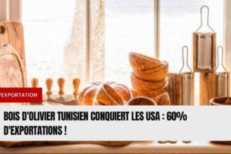 Bois d'Olivier Tunisien Conquiert les USA 60% d'Exportations !