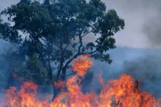 Cout-des-catastrophes-naturelles-en-2023-250-milliards-de-dollars