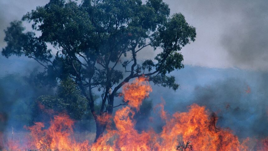 Cout-des-catastrophes-naturelles-en-2023-250-milliards-de-dollars