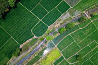 Ministere-de-lAgriculture-Les-Mesures-Qui-Revolutionnent-le-Secteur-Agricole.