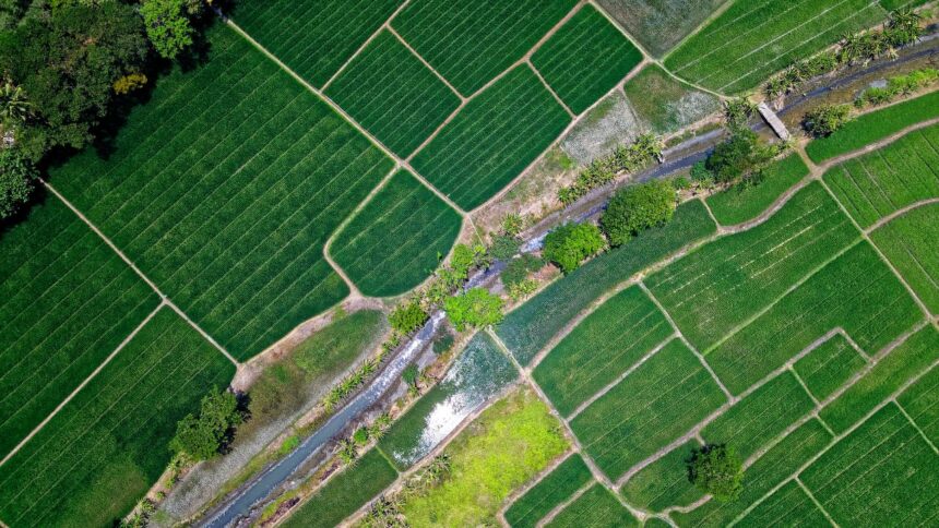 Ministere-de-lAgriculture-Les-Mesures-Qui-Revolutionnent-le-Secteur-Agricole.