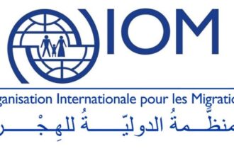 Emploi : L’Organisation Internationale pour les Migrations recrute