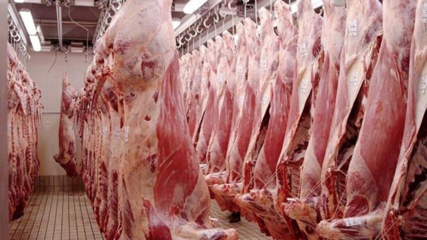 Ramadan Approche La Tunisie Importe de la Viande Ovine Congelée pour Stabiliser les Prix