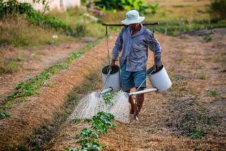 Revolution-Verte-en-Tunisie-Le-Ministre-de-lAgriculture-Predit-des-Recoltes-Record.