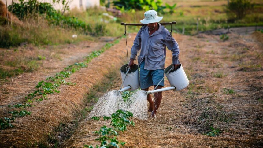 Revolution-Verte-en-Tunisie-Le-Ministre-de-lAgriculture-Predit-des-Recoltes-Record.