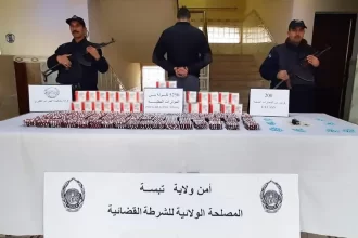 Saisie de 2,5 kg de Cannabis et 5 250 Comprimés Psychotropes à la Frontière Algéro-Tunisienne