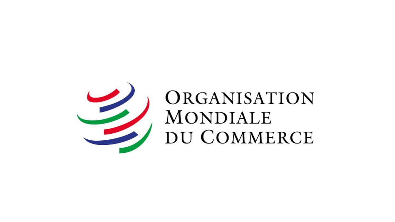 Tunisie-Appel-pour-un-Commerce-Equitable-lors-de-la-13e-Conference-ministerielle-de-lOMC
