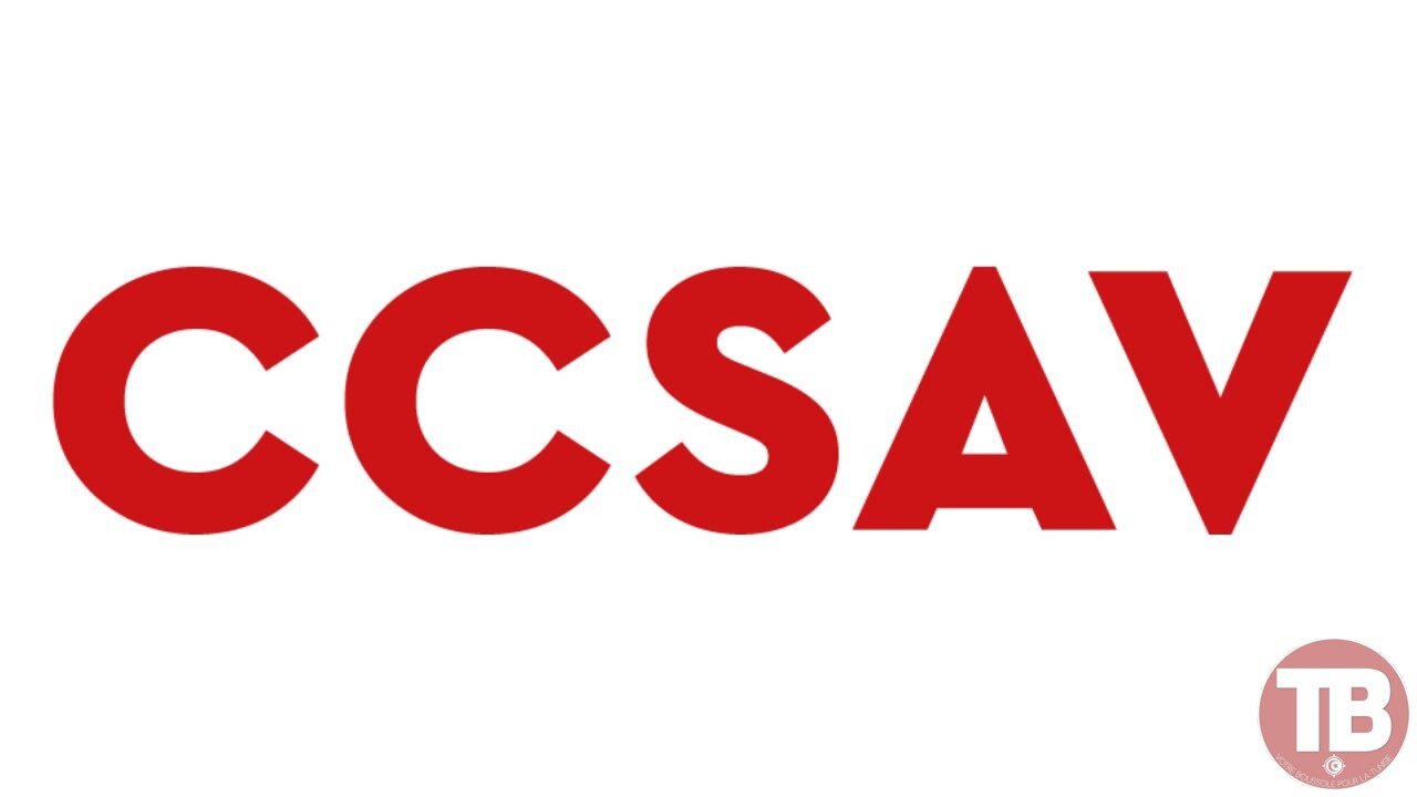 CCSAV-recrute-Agent-Telemarketing-Francophone.