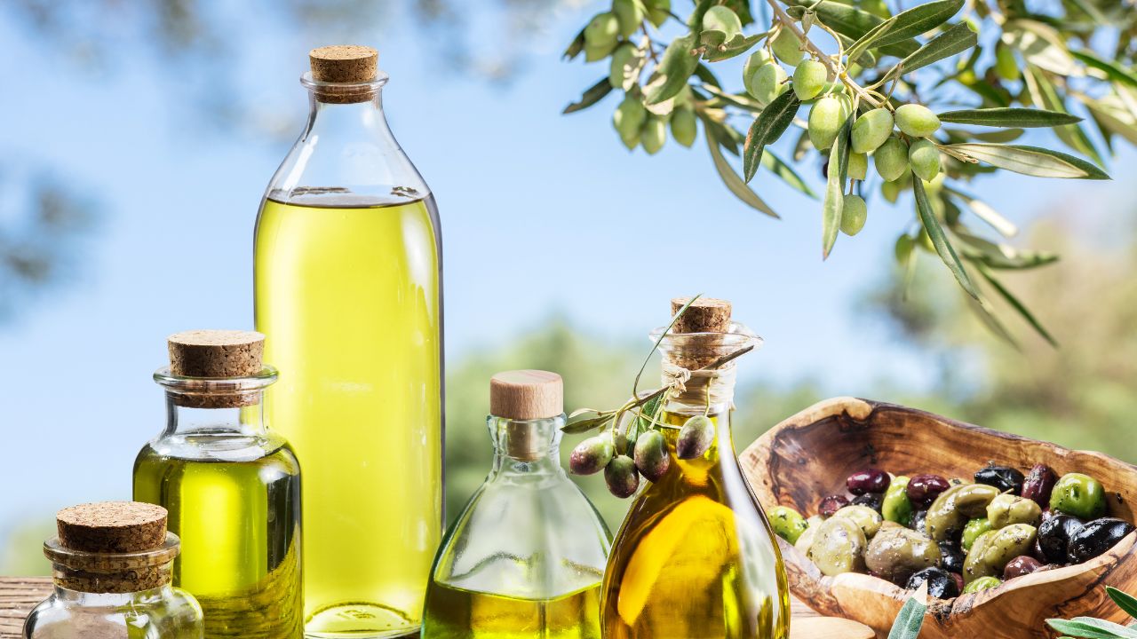 DMO Djerba Trois ateliers participatifs lancés autour du thème de l’huile d’olive