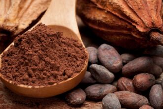 Le-Cameroun-vise-des-records-de-production-pour-le-cacao-et-le-cafe-dici-2030