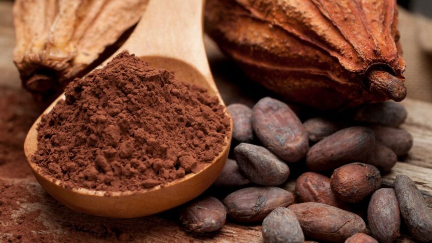 Le-Cameroun-vise-des-records-de-production-pour-le-cacao-et-le-cafe-dici-2030