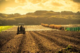 Previsions-agricoles-optimistes-pour-la-Tunisie-en-2023-2024