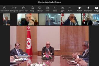 Réunion en visioconférence entre Nabil Ammar et les chefs de missions des pays arabes