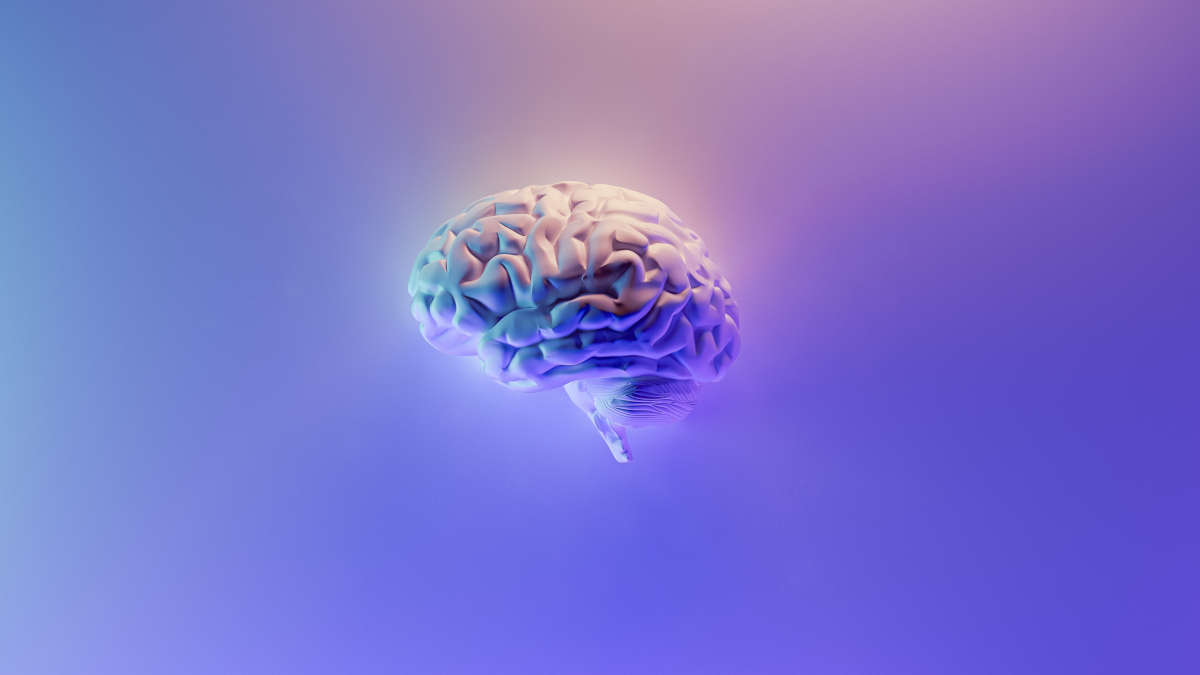 Cerveau humain: un ordinateur révolutionnaire présenté par une société américaine