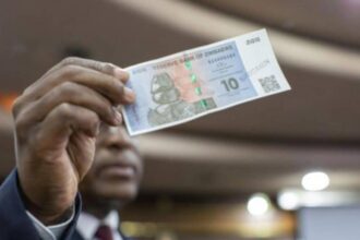 Zimbabwe : Lancement de la nouvelle monnaie ZiG crée un chaos dans la population